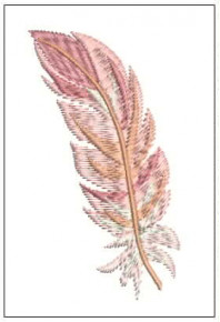 Pet068 - Flamingo feather